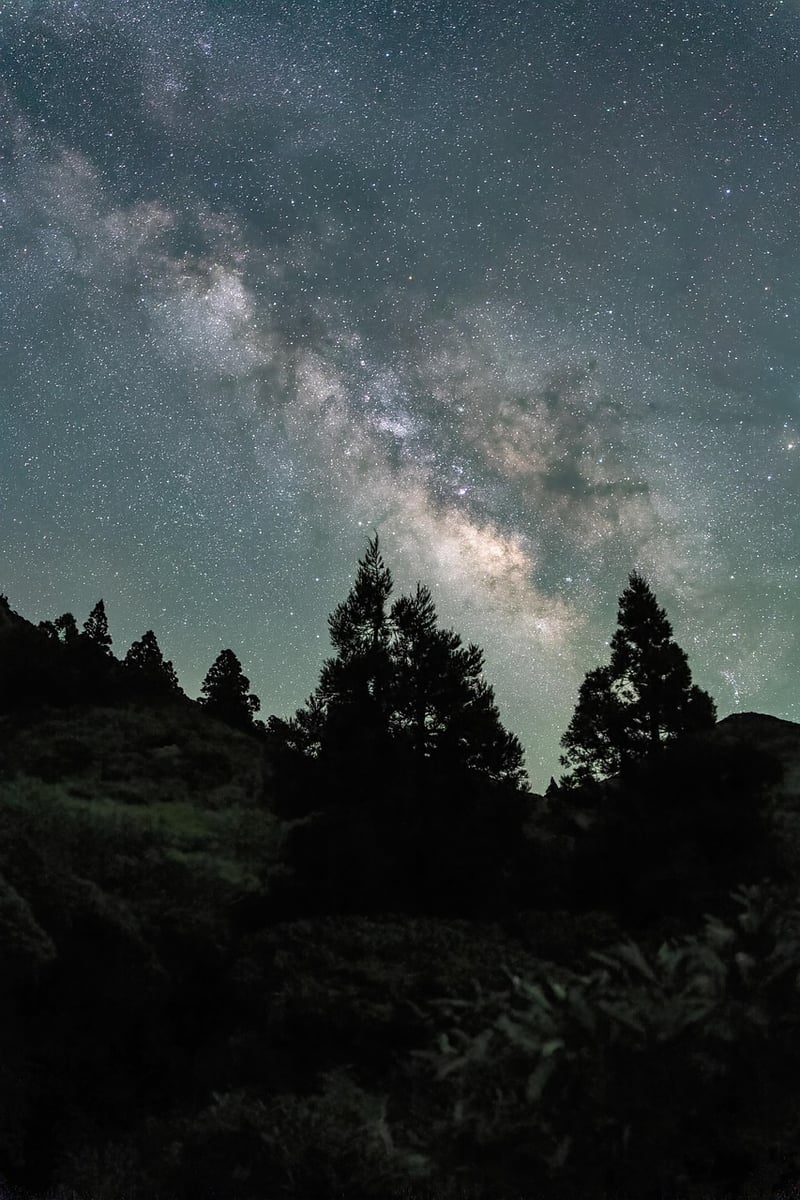 Mindfulness in nature